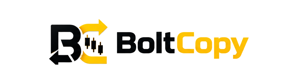 BoltCopy